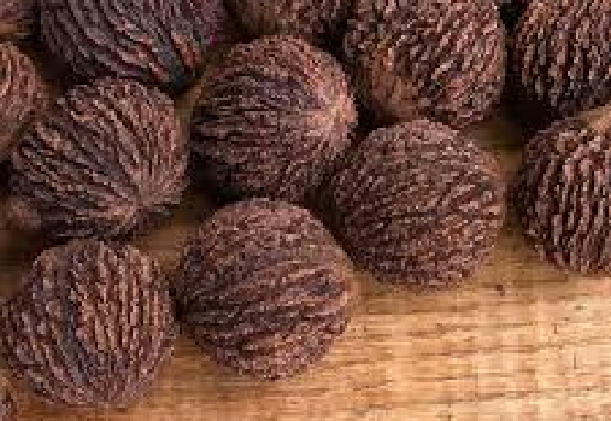 Black walnuts — traditional harvest used in foodways, home remedies, and preservation education connected to land traditions.